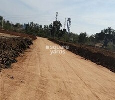 True The Orchard Featured Image