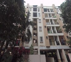 Tulip Nest Featured Image