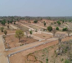 Vennala Dates County Featured Image