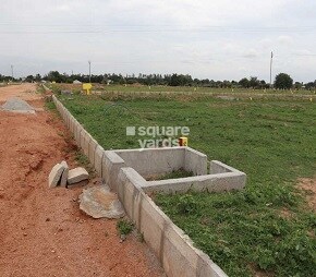 Verita True Diamond Burgula