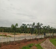 Vikhyath Haritha Vanam Featured Image