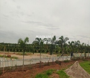 Vikhyath Haritha Vanam