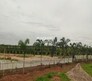 Vikhyath Haritha Vanam Flagship Image