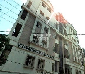 Vishwapriya Ravula Plaza Cover Image