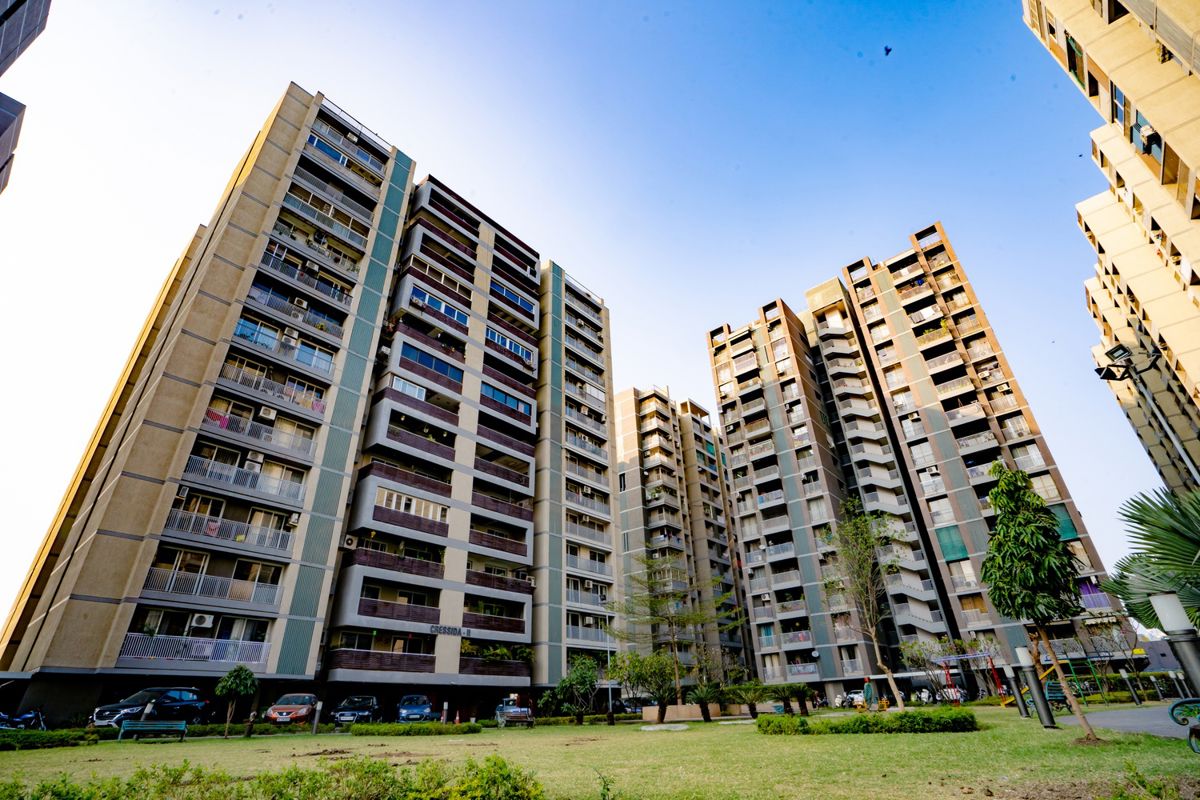 Apollo DB City