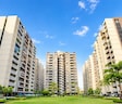 Apollo DB City