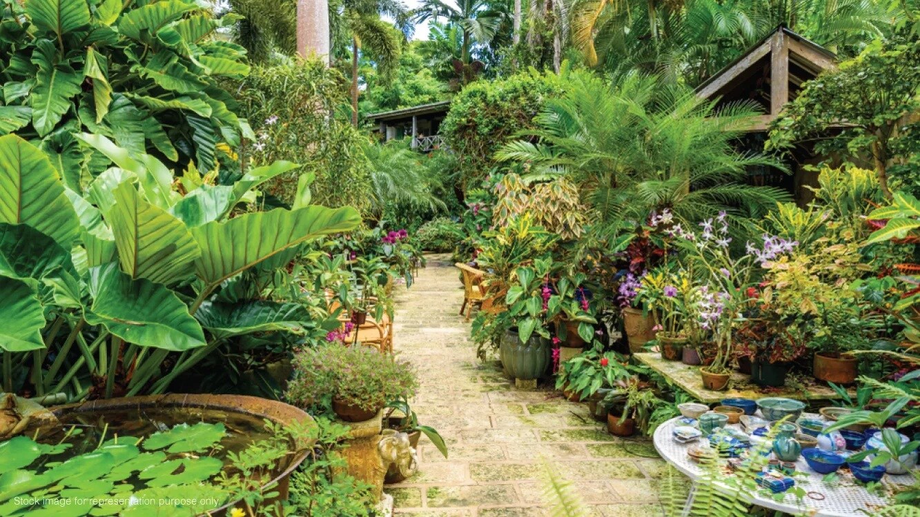 Godrej Greenview Estate Amenities-Features 2