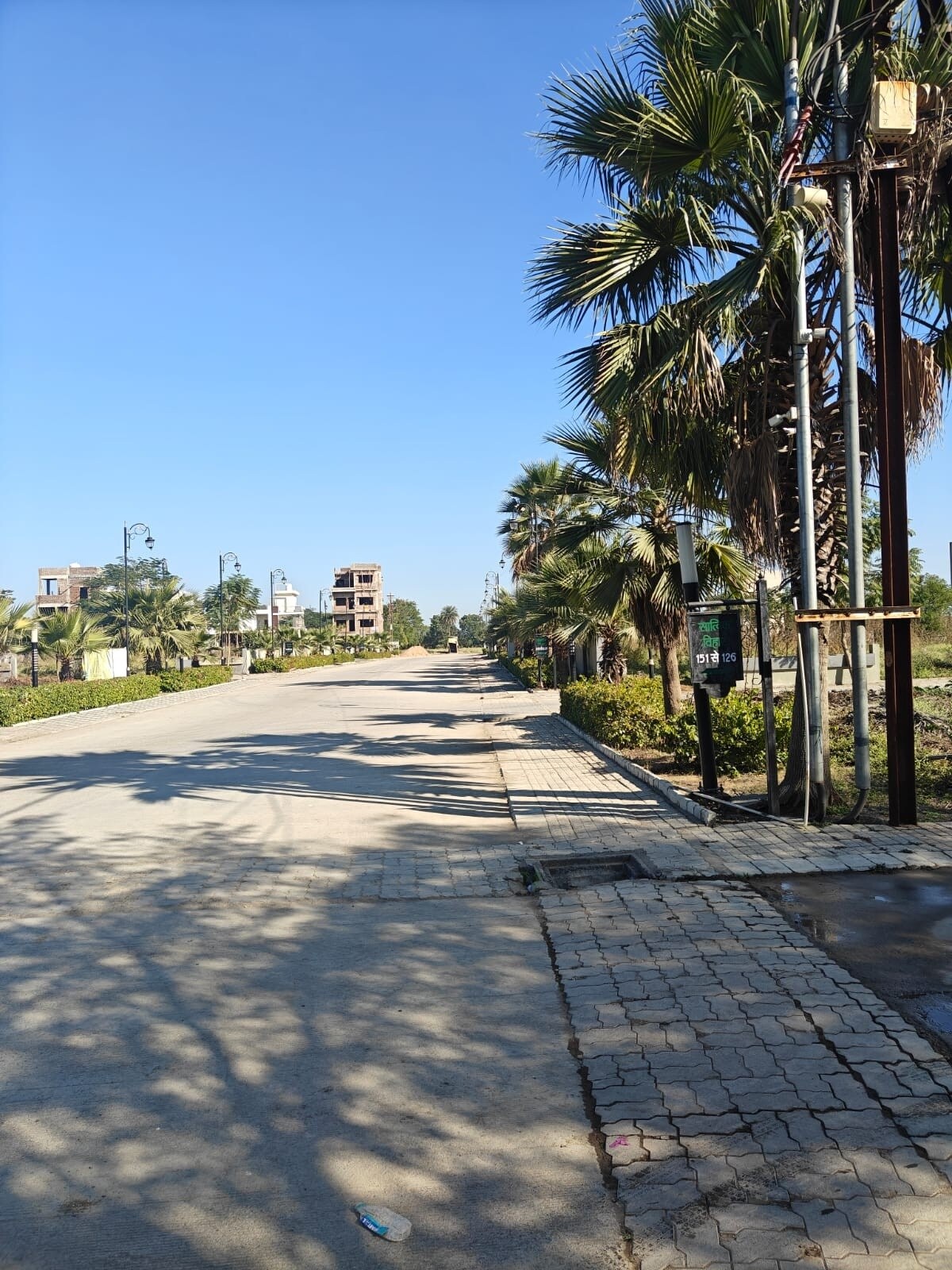 Graceland Highway Avenue