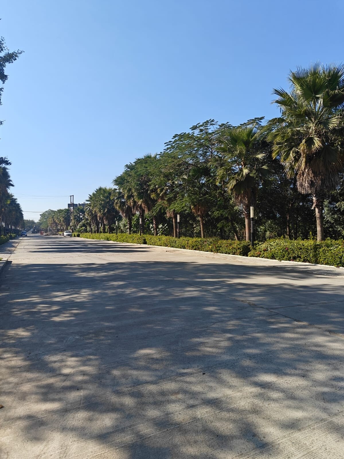 Graceland Highway Avenue