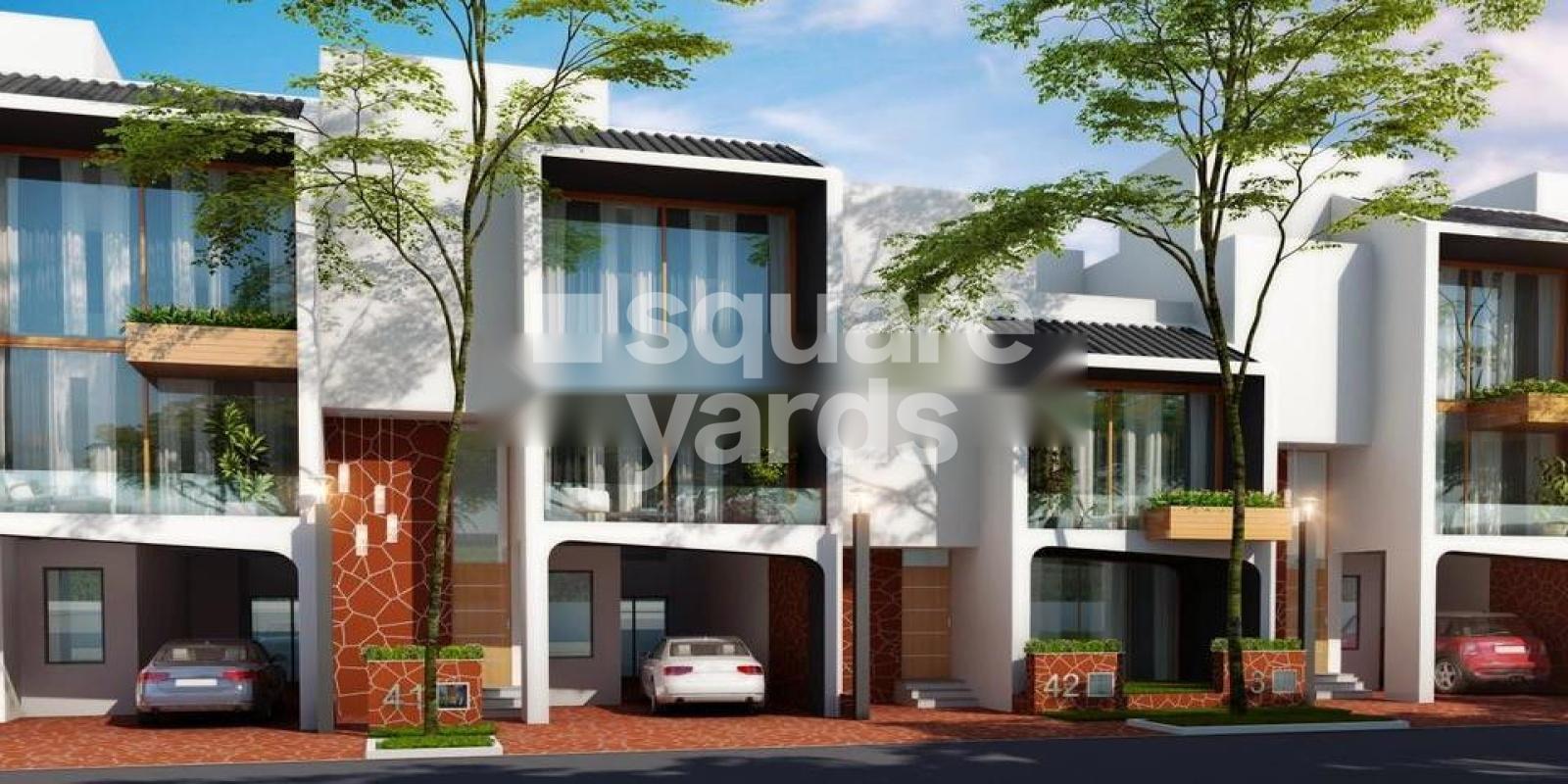 Graphic Empire Wild Flower