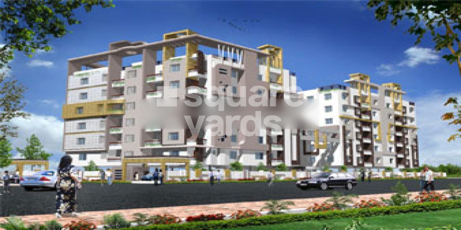 Horizon Premium Gulmohar