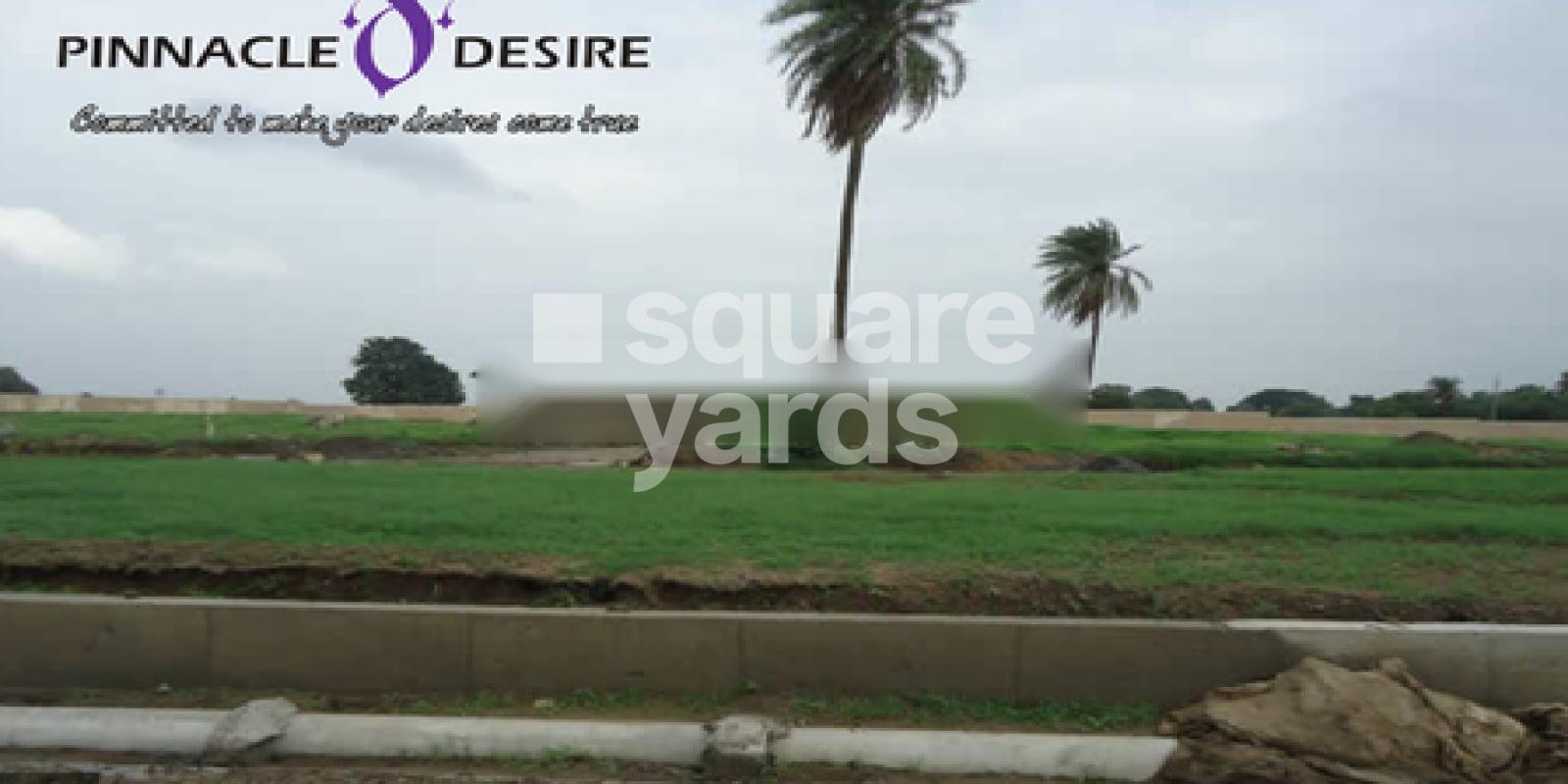 Pinnacle D Desire
