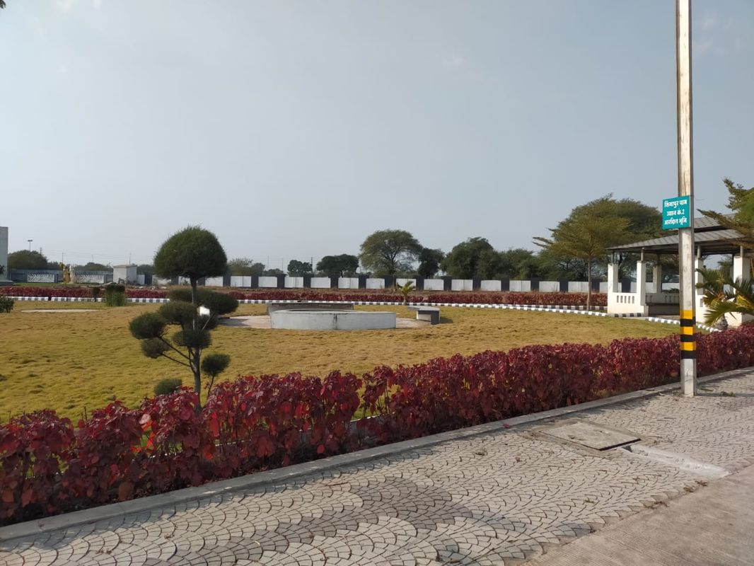 Sarthak Singapore Palm Plot Images