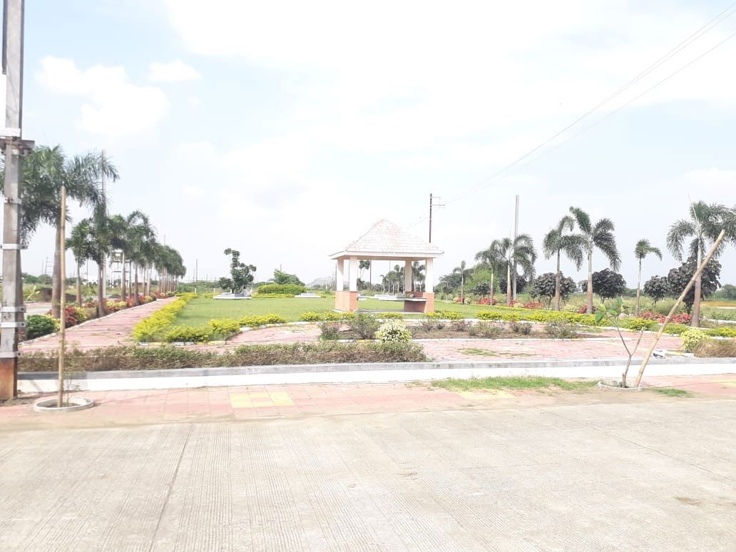 Sarthak Singapore Palm Plot Images