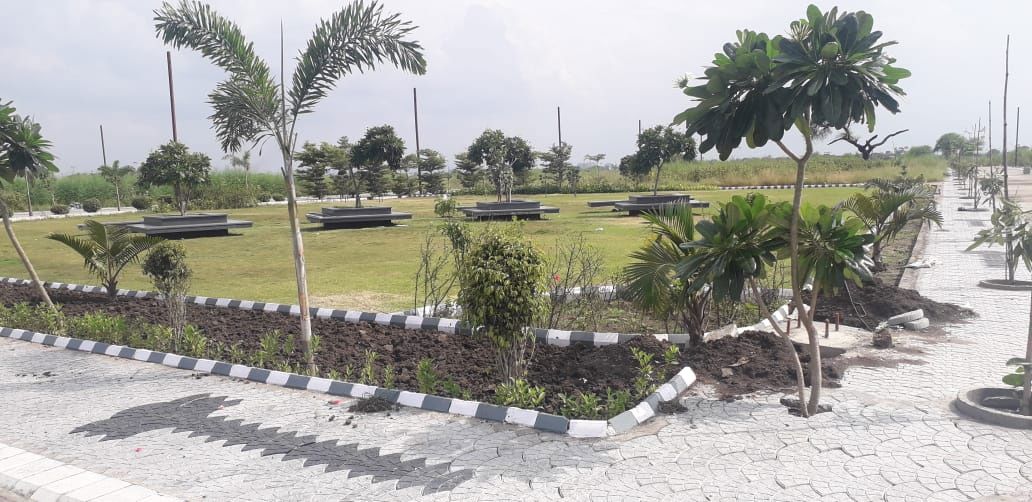Sarthak Singapore Palm