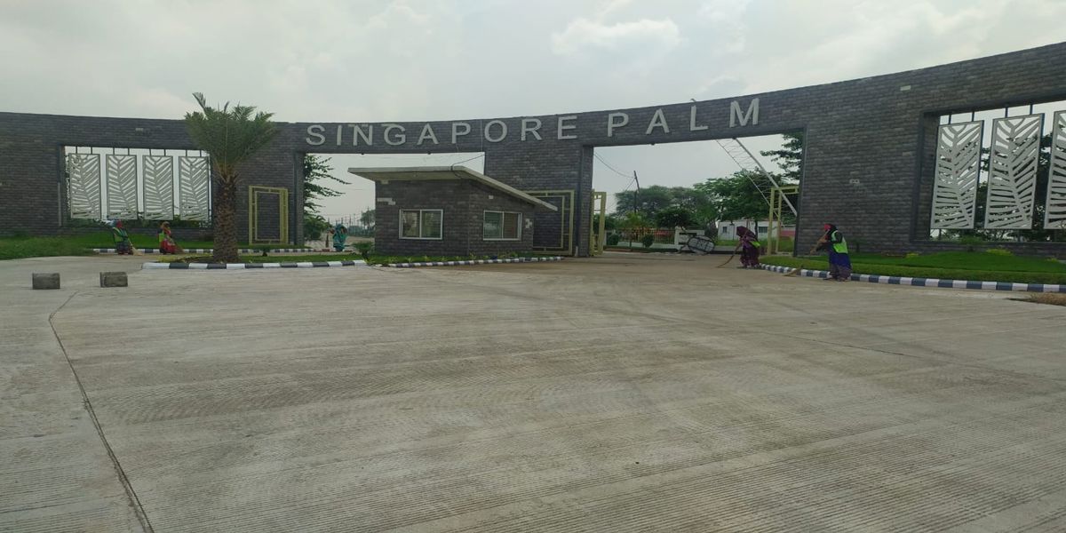 Sarthak Singapore Palm