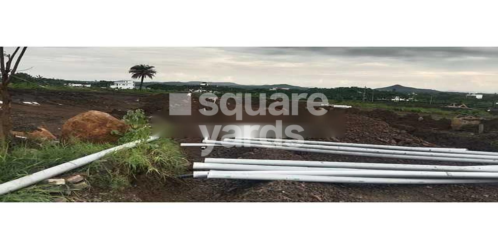 Tricone Premium Featured Image