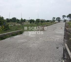 Aarush Divya Rock Island