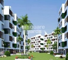 Coral Reefs Featured Image