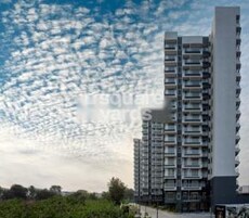 D Ornate Featured Image