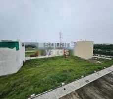 DCNPL Greensville Featured Image