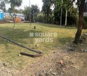 Gracelands Balaji Park