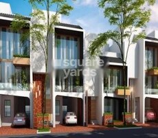 Graphic Empire Wild Flower Featured Image