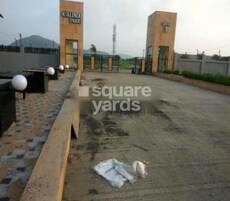 Kalindi Pride Featured Image