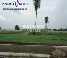 Pinnacle D Desire Featured Image