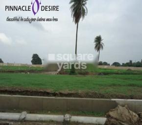 Pinnacle D Desire