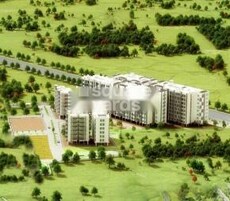 Premshree Corridor Exotica Featured Image