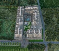 Royal Greens Featured Image