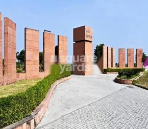 Ruchi Lifescapes