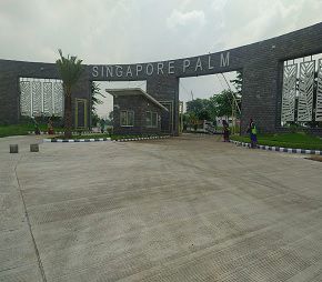 Sarthak Singapore Palm