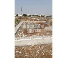 Seven Treasure Derams Featured Image