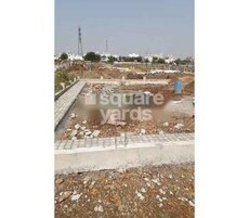 Seven Treasure Derams Featured Image