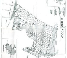 Shrinath Gold Featured Image