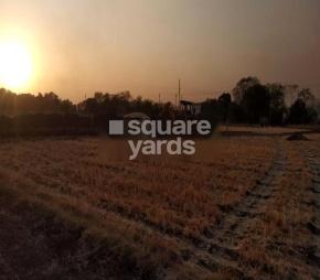 Siddhachal Sky Green City