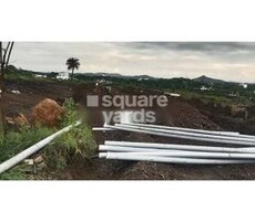 Tricone Premium Featured Image