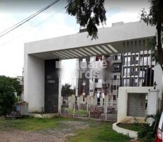 Varun Divine Greens Featured Image