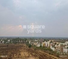 Vibrant Hill View Featured Image