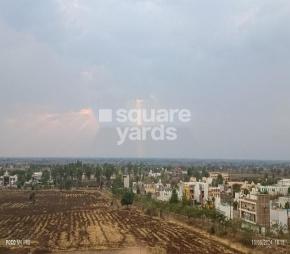 Vibrant Hill View