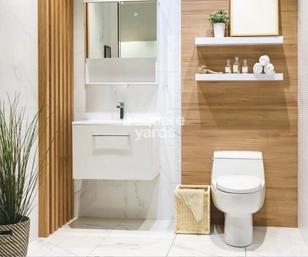 Aashish The Meridian