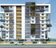 Auric Prime Suites