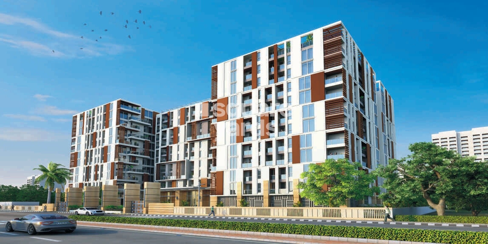 Bardiya The Legend Cover Image