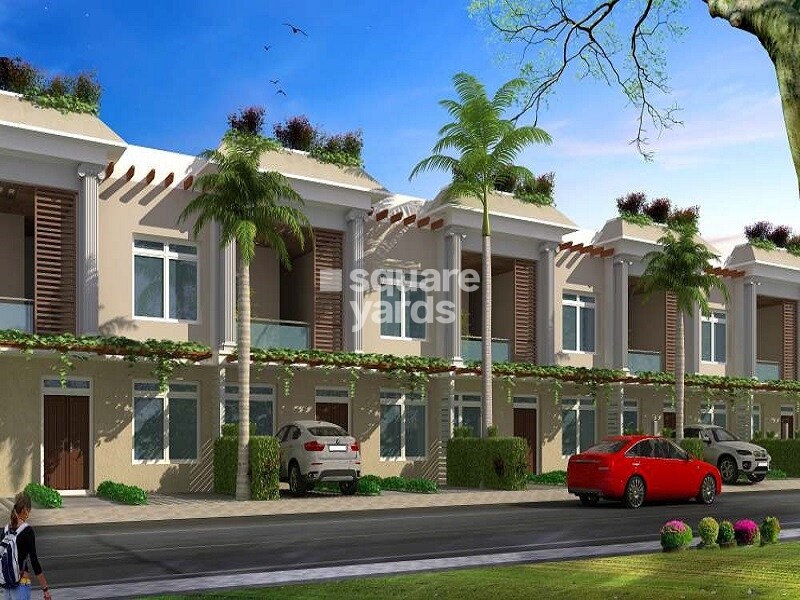 Chordias The Marbella