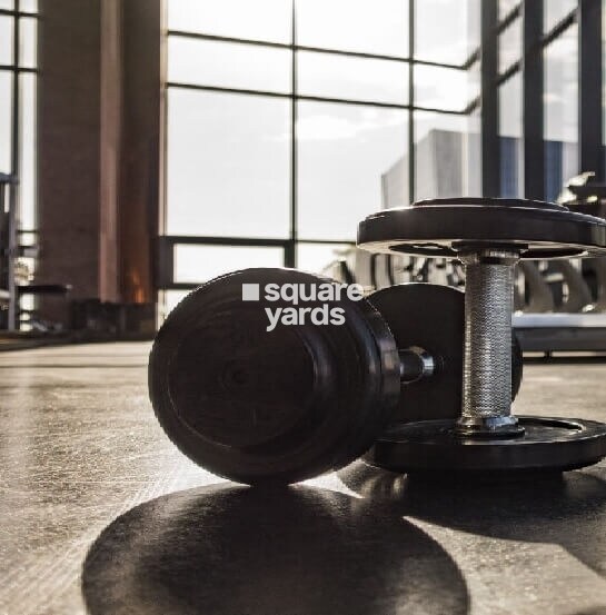 Dhanuka Sunshine Aditya