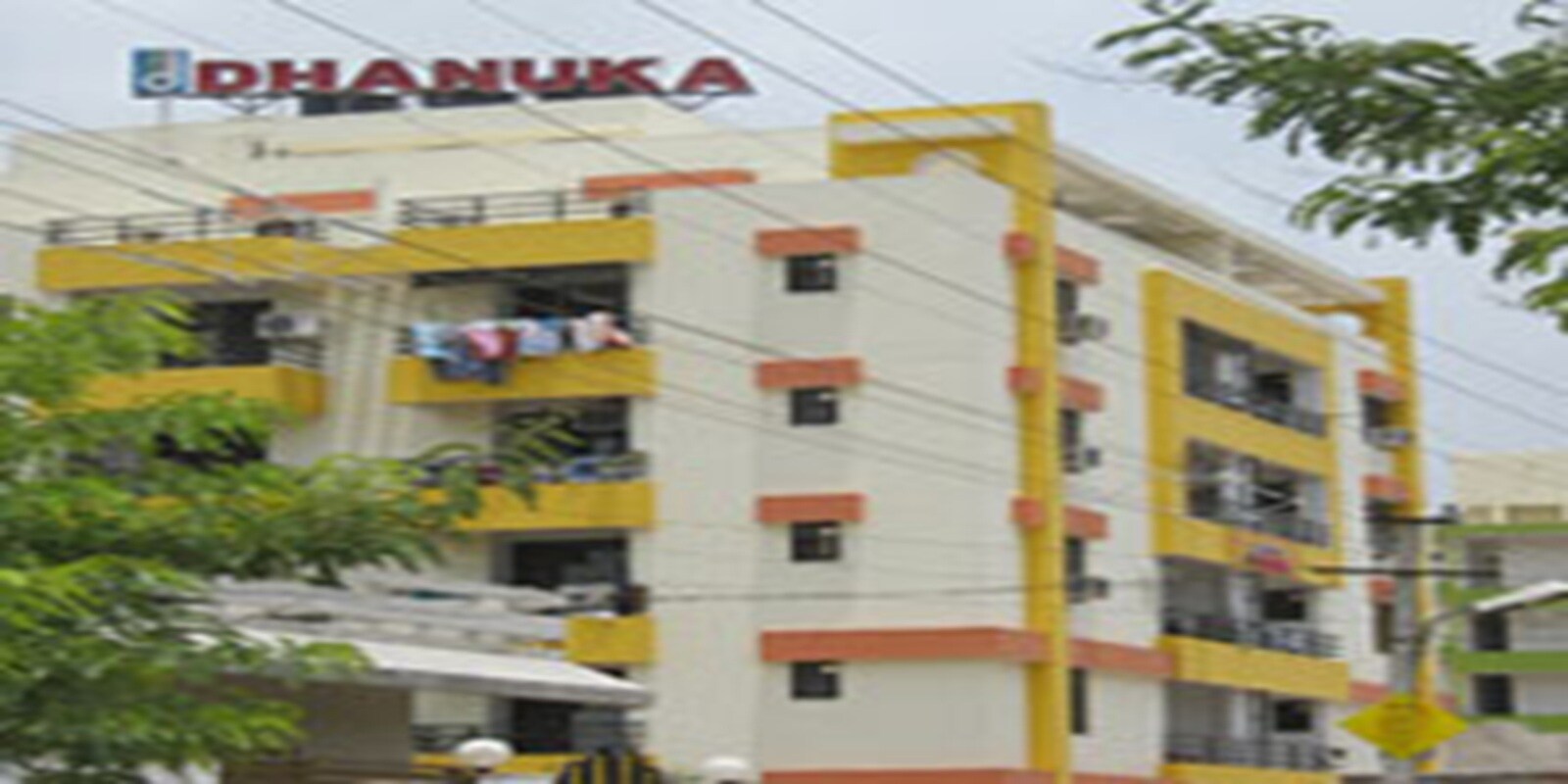 Dhanuka Sunshine Orchid Featured Image