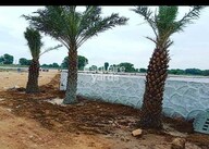 DHB Homes Amenities-Features