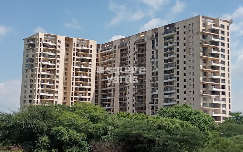 Felicity Roongtas Aventura